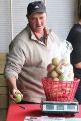 Le temps des pommes