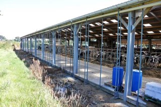 Une bonne ventilation pour des vaches plus productives