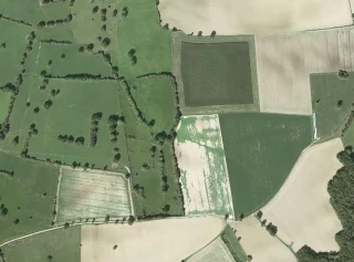 SNA : «Plus personne n’y comprend quoi que ce soit  !»