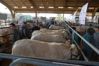 Qualité et convivialité  