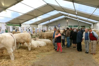 La fête du «blanc»