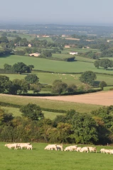 L’exemple de la directive nitrates