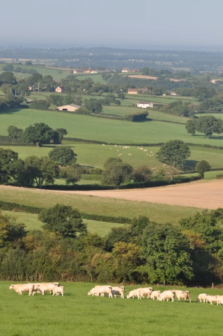 L’exemple de la directive nitrates