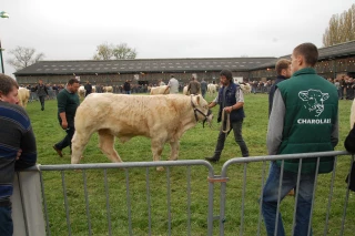 Une édition relevée