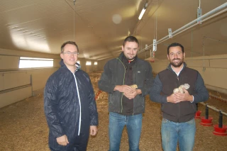 Des poulaillers pour s’installer