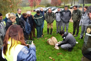 Une formation pour les correspondants