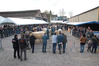 Un nouveau franc succès