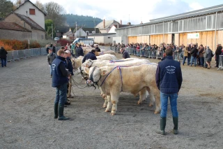 La FCO joue les trouble-fête
