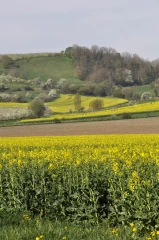 Des marges nettes plombées de 80% !