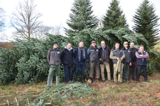 L’Élysée et le sapin du Morvan