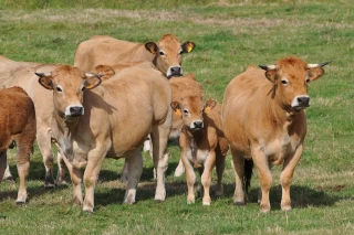 «Nous ne sommes pas des contrôleurs»