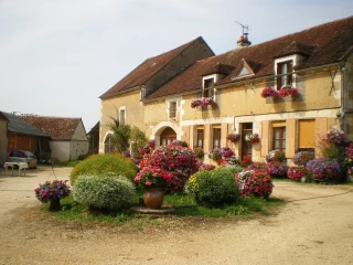 Dites le avec des fleurs…