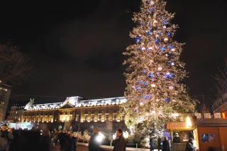 Le sapin de Noël naturel