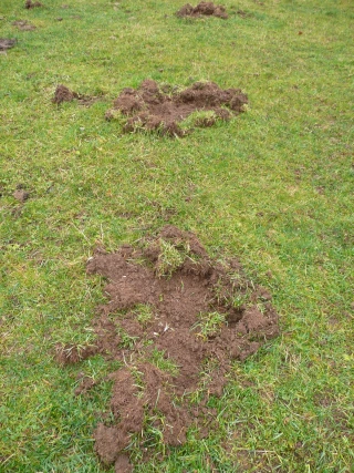 Dix ans de dégâts et peu d’espoir