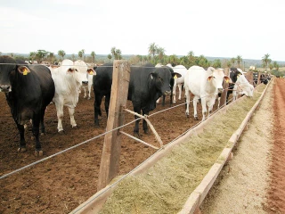 Rendez-vous en janvier pour un nouveau round