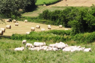 Une démarche rassurante
