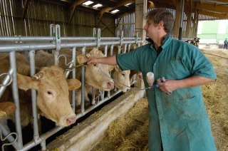 Du vrai changement…