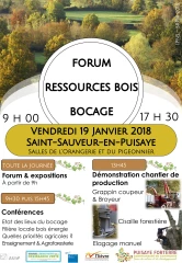 Un forum pour valoriser les ressources du bois bocage