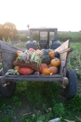 La transformation pour marque de fabrique