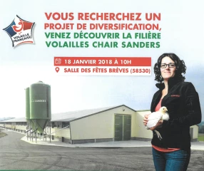 Les opportunités offertes par la filière volailles