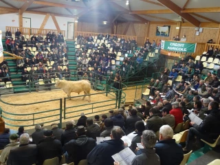Un rendez-vous qui fait rimer technique et économique 