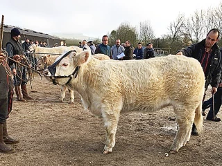 Prêt pour Arnay 