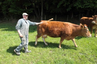 Les agriculteurs attendent des mesures concrètes