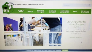 www.inn-ovin.fr: le site web de la production ovine
