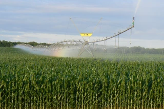 L’irrigation, une solution face à la crise ?