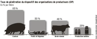 Les producteurs n’adhèrent pas assez