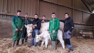 L’Agriventure des 6 Chouettes