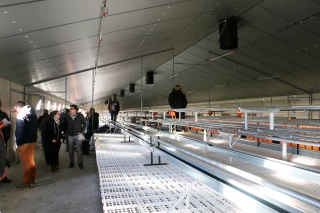Un nouveau poulailler bio au nord de l’Yonne