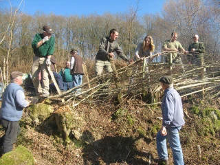 Le mois de la Plèchie version 2018