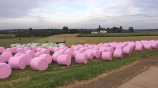 Opération enrubanné rose