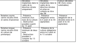 De nouvelles règles pour l’implantation des dérobées prises en compte au titre des SIE