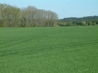 Pour un printemps moins silencieux, les agriculteurs s’impliquent