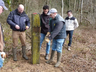 Parés pour la mise à l’herbe