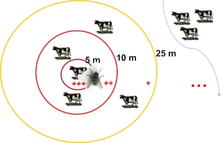 Besnoitiose : une maladie émergente en forte progression