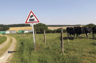 Le droit rural fait-il encore sens ?