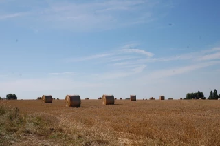 Le bilan 2017 est désormais connu