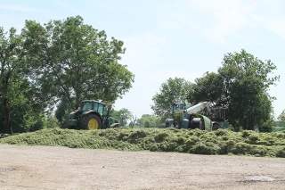 L’ensilage a débuté