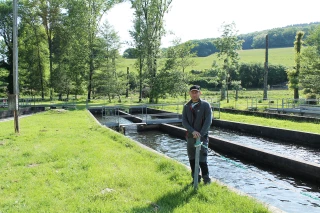 Comme un poisson dans l’eau
