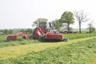 Fauche précoce: quels impacts sur la production
