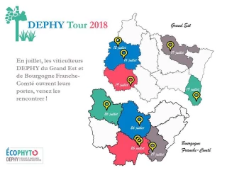 Portes ouvertes du 12 au 26 juillet