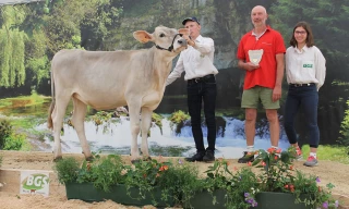 Les champions de Châtillon
