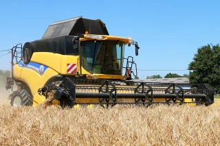 «Pas la moisson du siècle...»