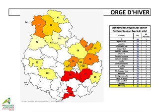 Une première carte se dessine