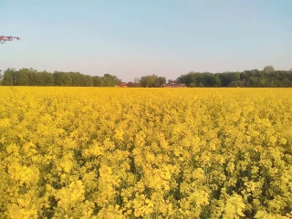 Direction 15 quintaux