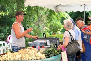 C’est l’été, c’est marché...