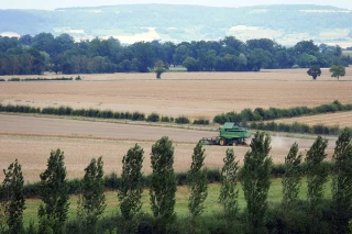 Moisson 2018 : précoce et moyenne au global